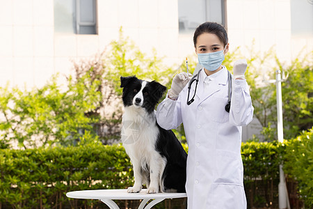 狗狗加油表情包女性宠物医生职业形象加油手势背景