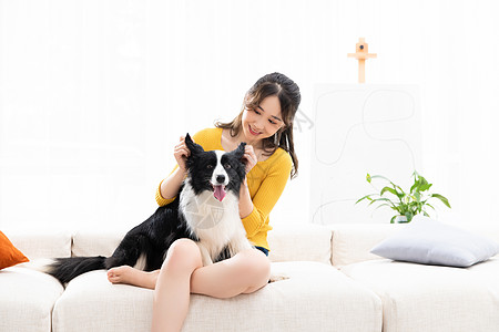 美女和宠物牧羊犬玩耍图片