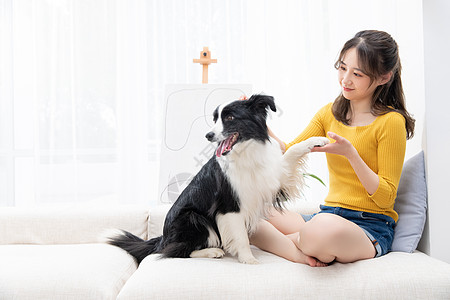 美女和宠物狗狗居家相伴握手图片