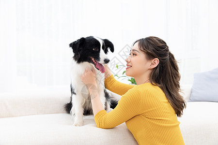 美女和宠物狗狗居家相伴图片