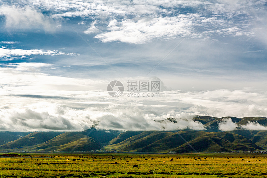 西藏草原晨雾缭绕图片