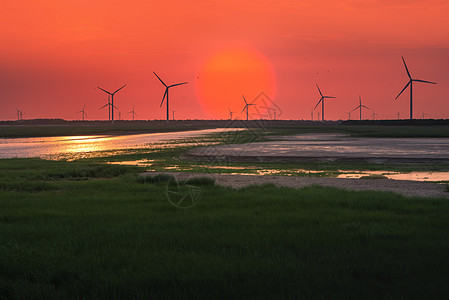 湿地日出东方背景