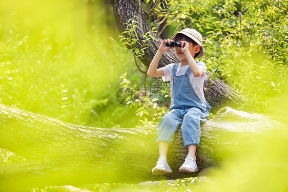 户外森林使用望远镜的小男孩图片