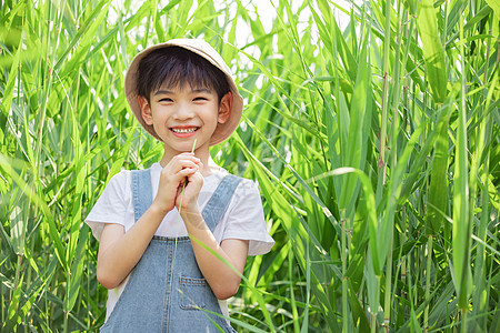 站在芦苇从中的小男孩图片