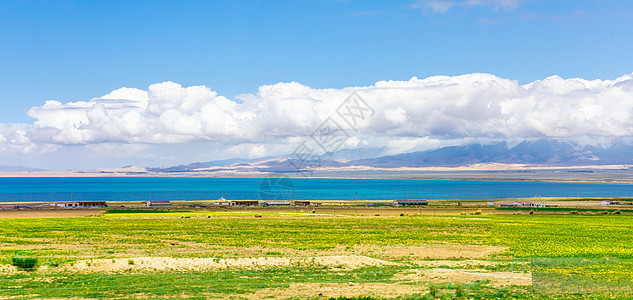 文艺清新青海西宁地标青海湖背景