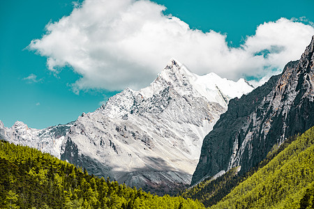 高山树林山川风景高清图片