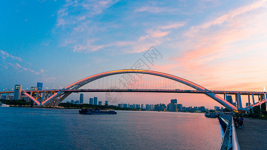上海徐汇滨江卢浦大桥夜景图片
