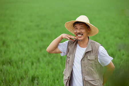 农民站在水稻田里擦汗图片