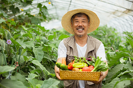 蔬菜大棚手捧蔬菜的农民大叔图片