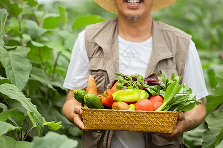 蔬菜大棚手捧蔬菜的农民大叔种植园高清图片素材