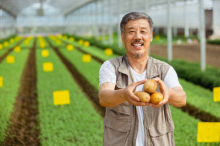 手捧蔬菜的农民大叔图片