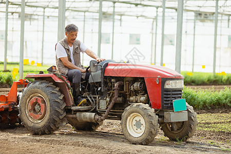 驾驶拖拉机的农民图片