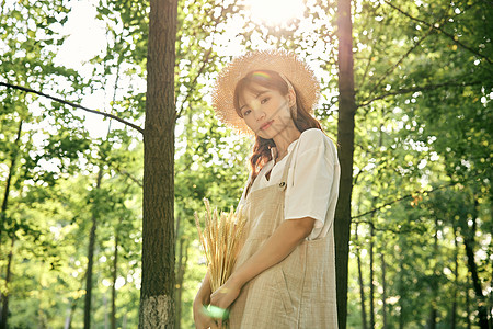 拿着麦穗美女夕阳下手拿麦穗的夏日清新美女背景