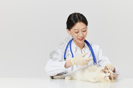 宠物医生给宠物猫咪打疫苗图片