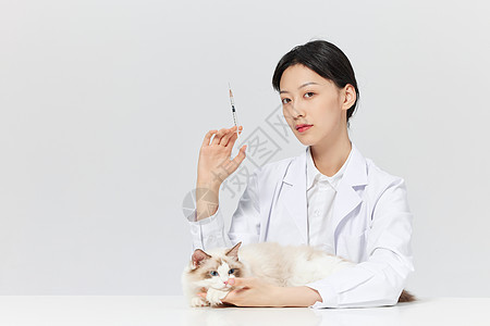 宠物医生给宠物猫咪打疫苗图片