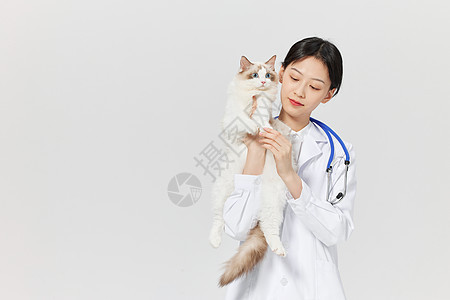 宠物医生抱着宠物猫咪图片