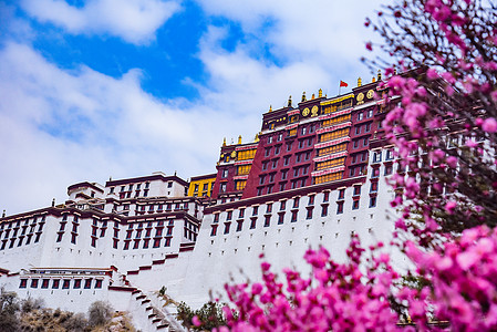 西藏布达拉宫景区图片