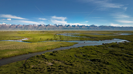 5A景点新疆巴音布鲁克草原生态雪山湿地图片