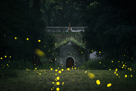 夜晚路南京灵谷寺夏天夜晚的萤火虫与传统建筑背景