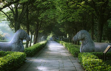 石宝山石刻南京明孝陵石象路背景