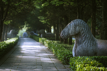 石宝山石刻南京明孝陵石象路背景