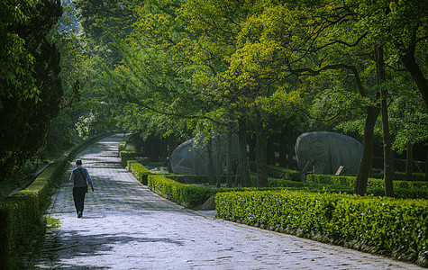 南京明孝陵石象路图片