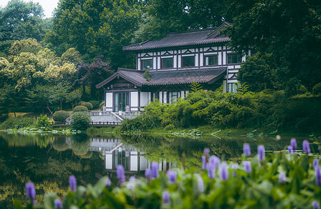 江苏南京夏天的玄武湖图片