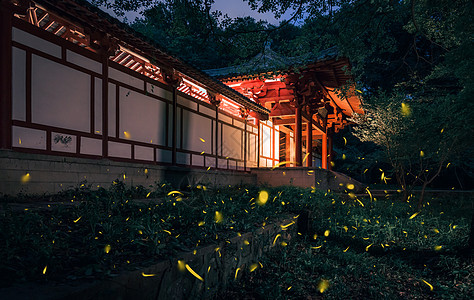 明孝陵夏天夜晚的萤火虫与古建筑图片