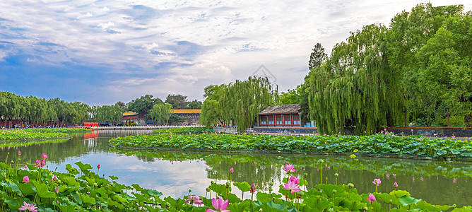 大气清新北海公园莲花池荷花高清图片