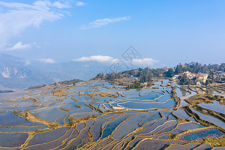 云南元阳多依树梯田日出背景