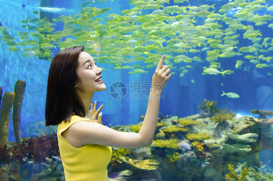 青年女性假期观光海洋水族馆图片