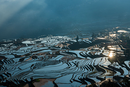 云南元阳多依树梯田日出背景