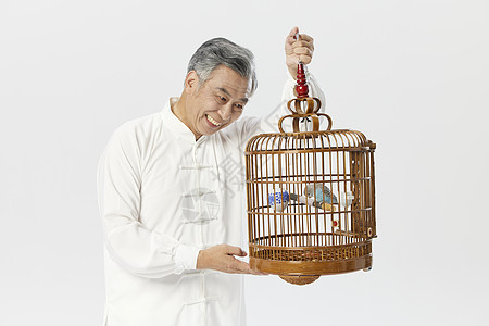 中老年男性遛鸟图片