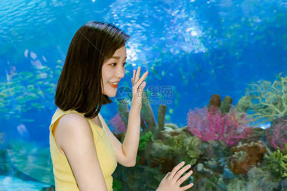 女性旅行观光海洋水族馆图片