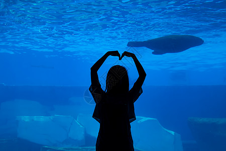 黑色鲸鱼青年女性逛水族馆比心剪影背景