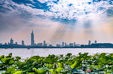 江苏南京玄武湖荷花与晚霞耶稣光背景图片