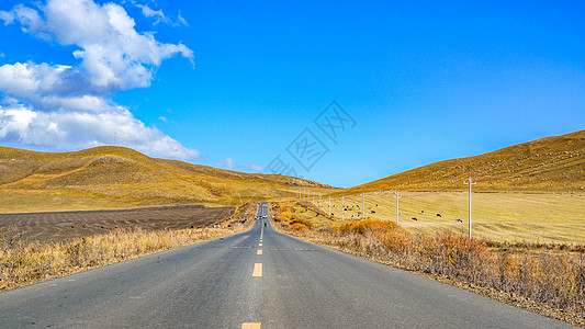 秋天公路自驾呼伦贝尔风光背景图片