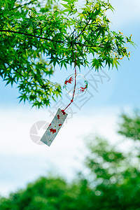 日系风铃夏天的树梢上的风铃随风摆动背景