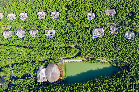 5A风景区天目湖南山竹海高清图片