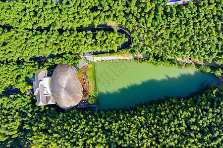 5A风景区天目湖南山竹海图片