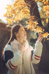 枫叶少女秋天的银杏与少女背景