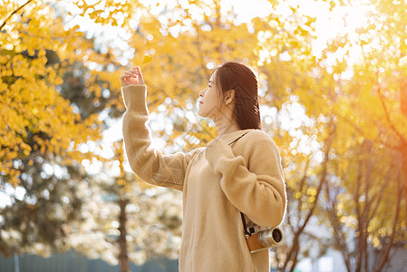 秋天的银杏与少女图片