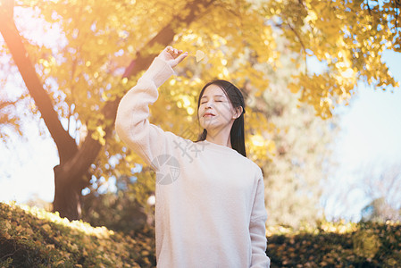 秋天的银杏与少女图片