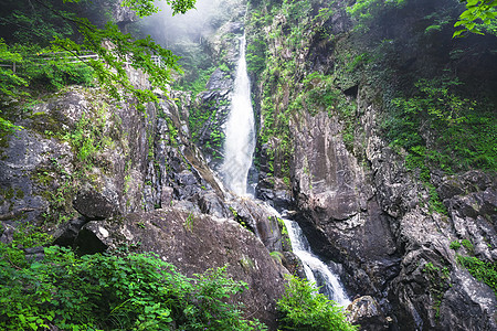 5A风景区明月山风景区背景图片