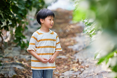 在葡萄园散步的小男孩图片