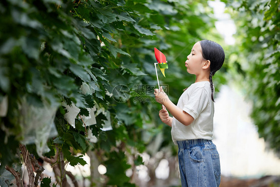 童年开心玩着风车的小女孩图片