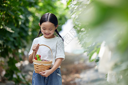 在果园拿着水果篮的小女孩图片