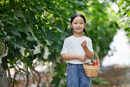 在果园拿着水果篮的小女孩图片