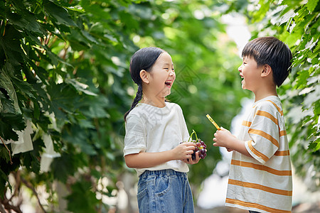 小朋友在果园观察葡萄图片