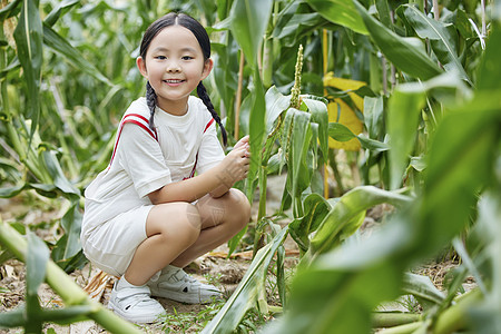 在蔬菜大棚观察玉米的小女孩图片